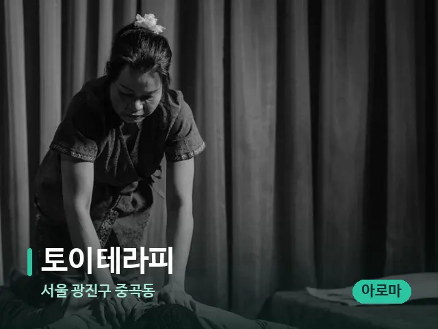 서울 광진구 중곡동 토이테라피 — 스파 마사지 베드