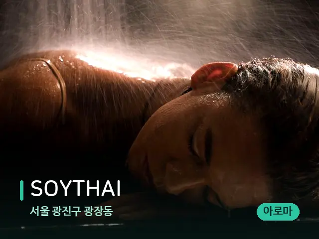 서울 광진구 광장동 SOYTHAI — 스파 마사지 베드